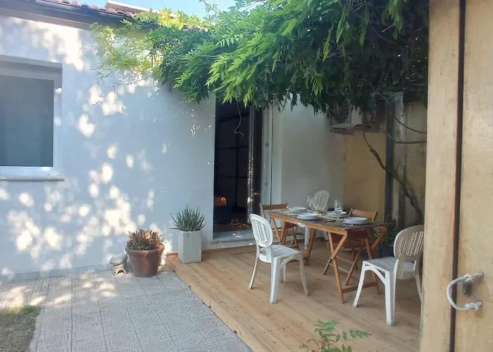 L'approdo Di Enea Sotto La Pergola